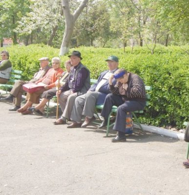 Eoliana amplasată în curtea Azilului pentru Vârstnici din Poarta Albă va fi inaugurată în curând